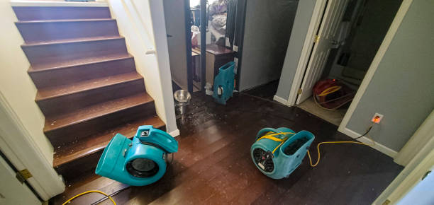 Best 24/7 water damage repair  in Kemp Mill, MD