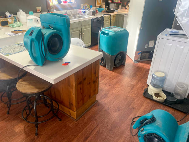 Best Flood damage cleanup  in Kemp Mill, MD