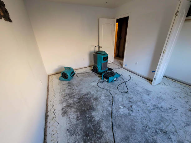 Best 24-hour water damage restoration  in Kemp Mill, MD