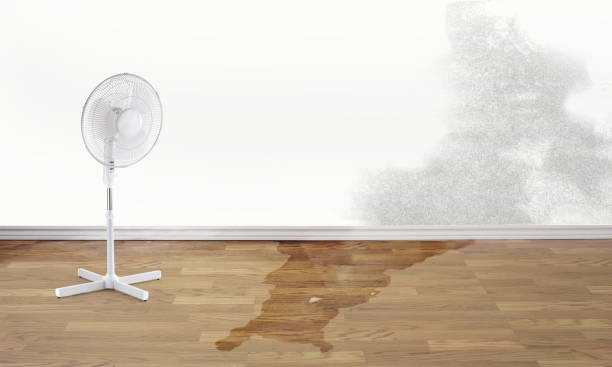 Best Emergency water damage restoration  in Kemp Mill, MD