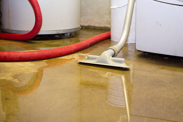 Best Local water damage restoration  in Kemp Mill, MD