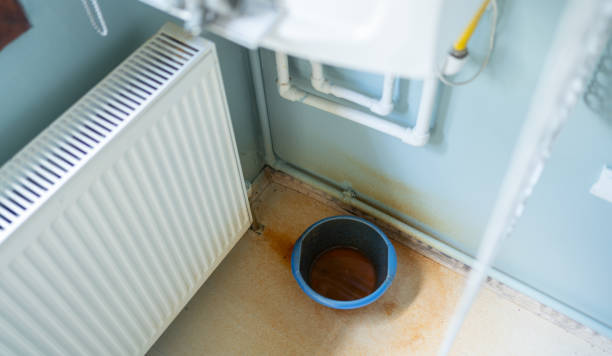 Best Sewage cleanup and water damage restoration  in Kemp Mill, MD